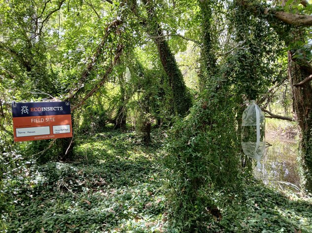 Research & Consultancy